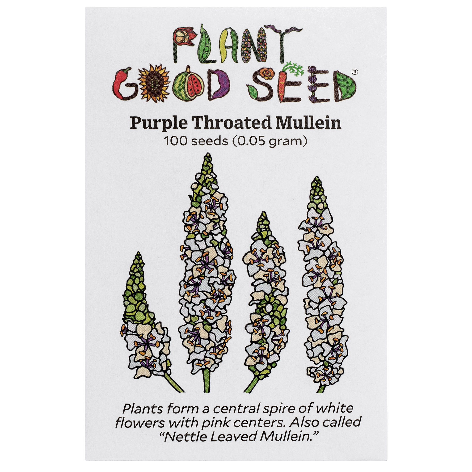 mullein plant seeds Purple Throated Mullein Seeds