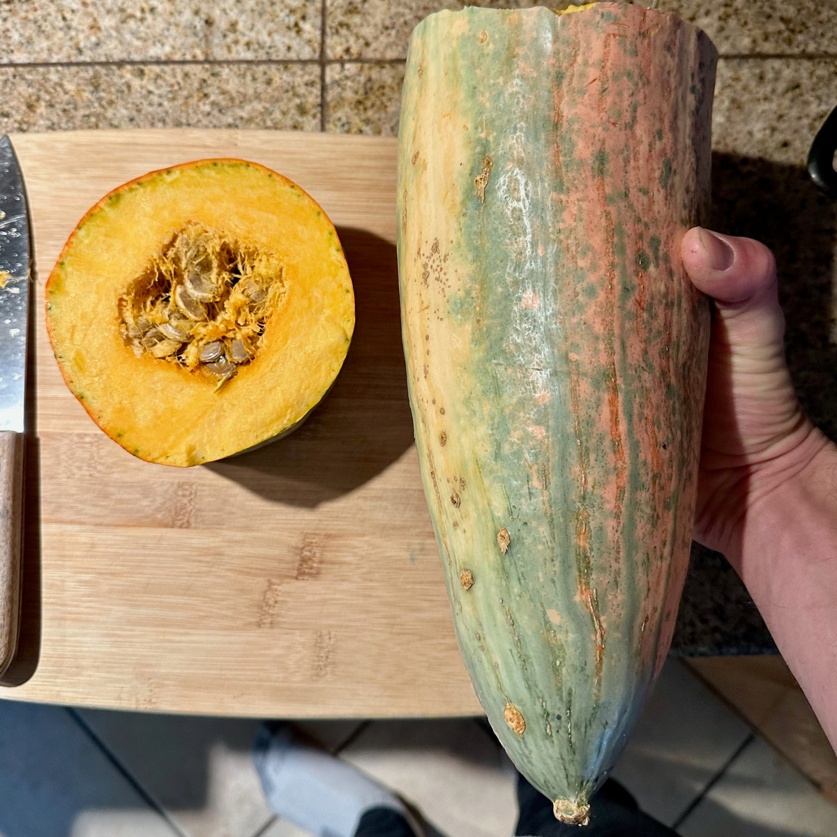 North Georgia Candy Roaster Winter Squash