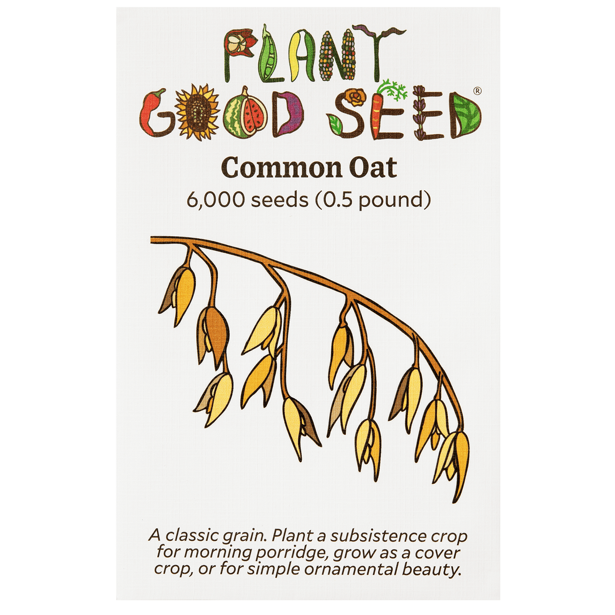 Common Oat Seeds - The Plant Good Seed Company