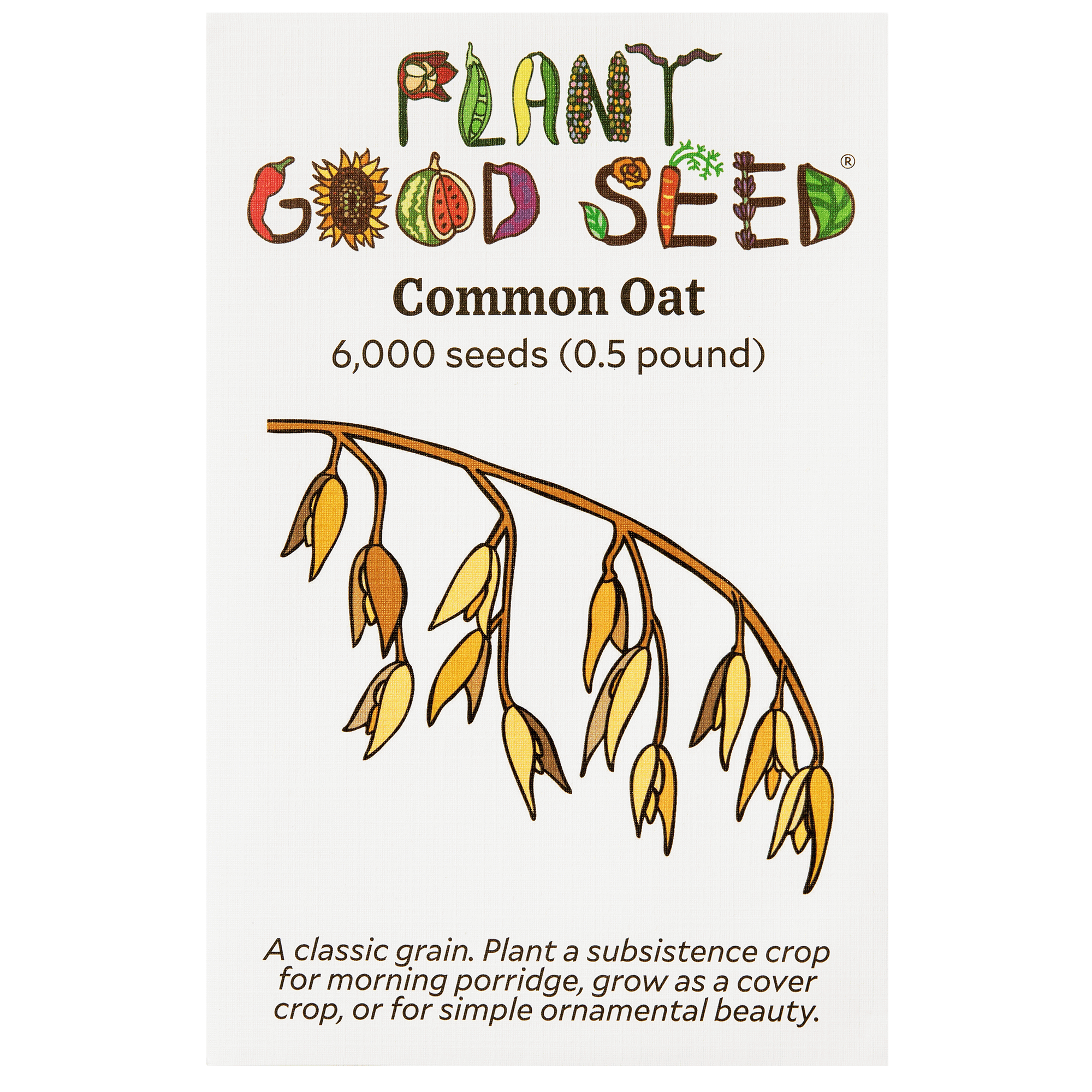 common seeds to plant Common Oat Seeds Packet: 275 Seeds (7.5 grams), OG