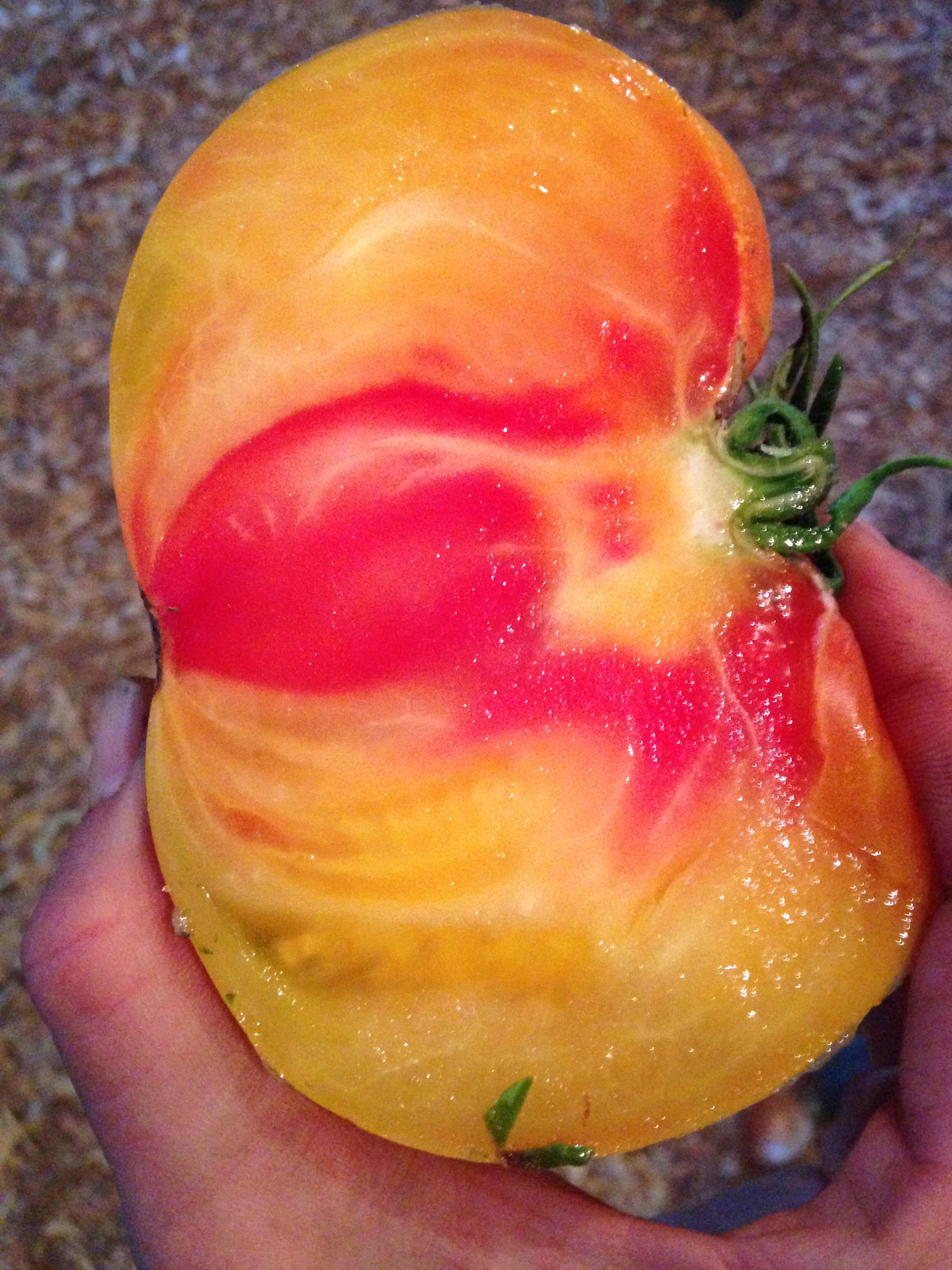 Painted Ukrainian Tomato