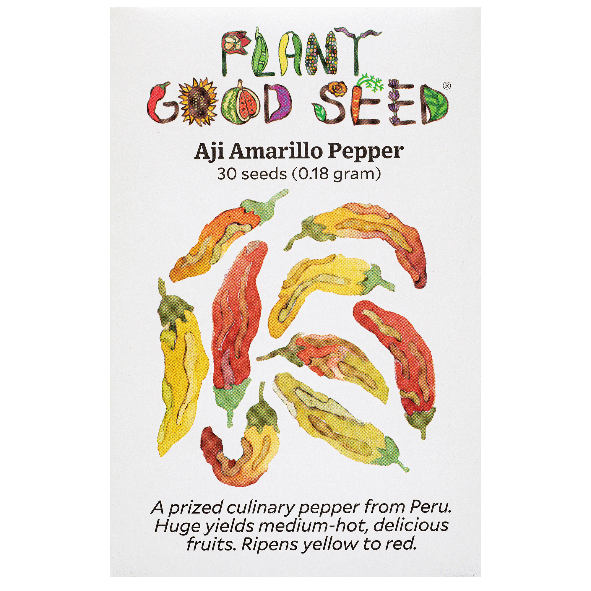 plant yellow pepper seeds Aji Amarillo Chile Pepper Seeds