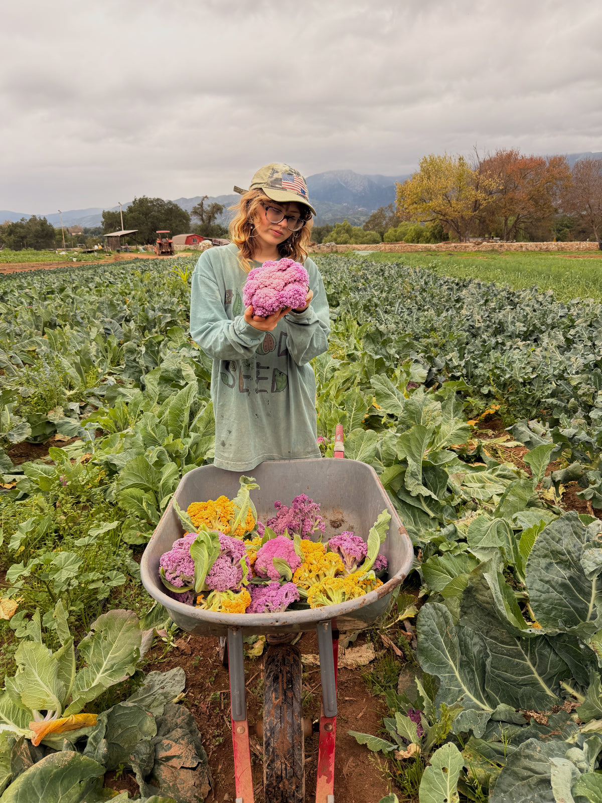 Plant Good Seed x Berbo Long Sleeve Logo Shirt