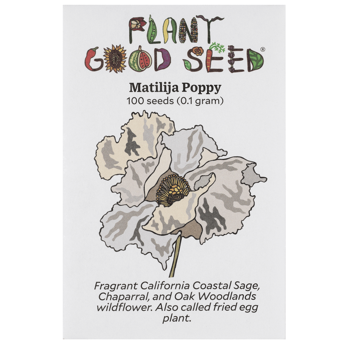 Matilija Poppy