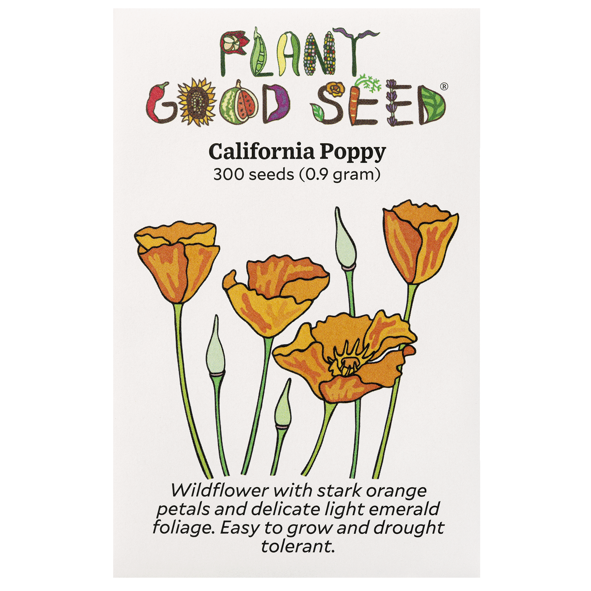 wildflower seeds poppies California Poppy Seeds BULK: 20,000 Seeds (1 ounce)