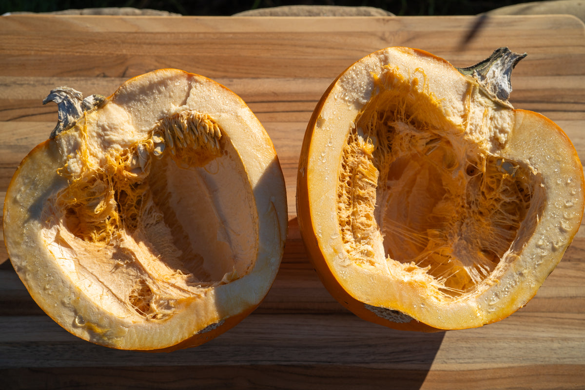 New England Pie Pumpkin