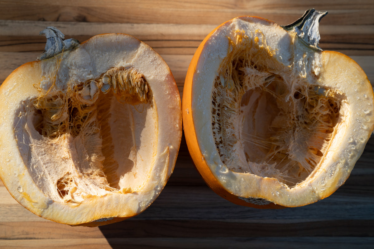 New England Pie Pumpkin