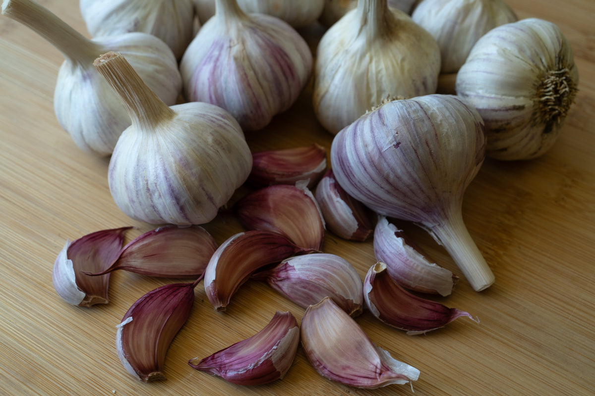 Donostia Hardneck Garlic