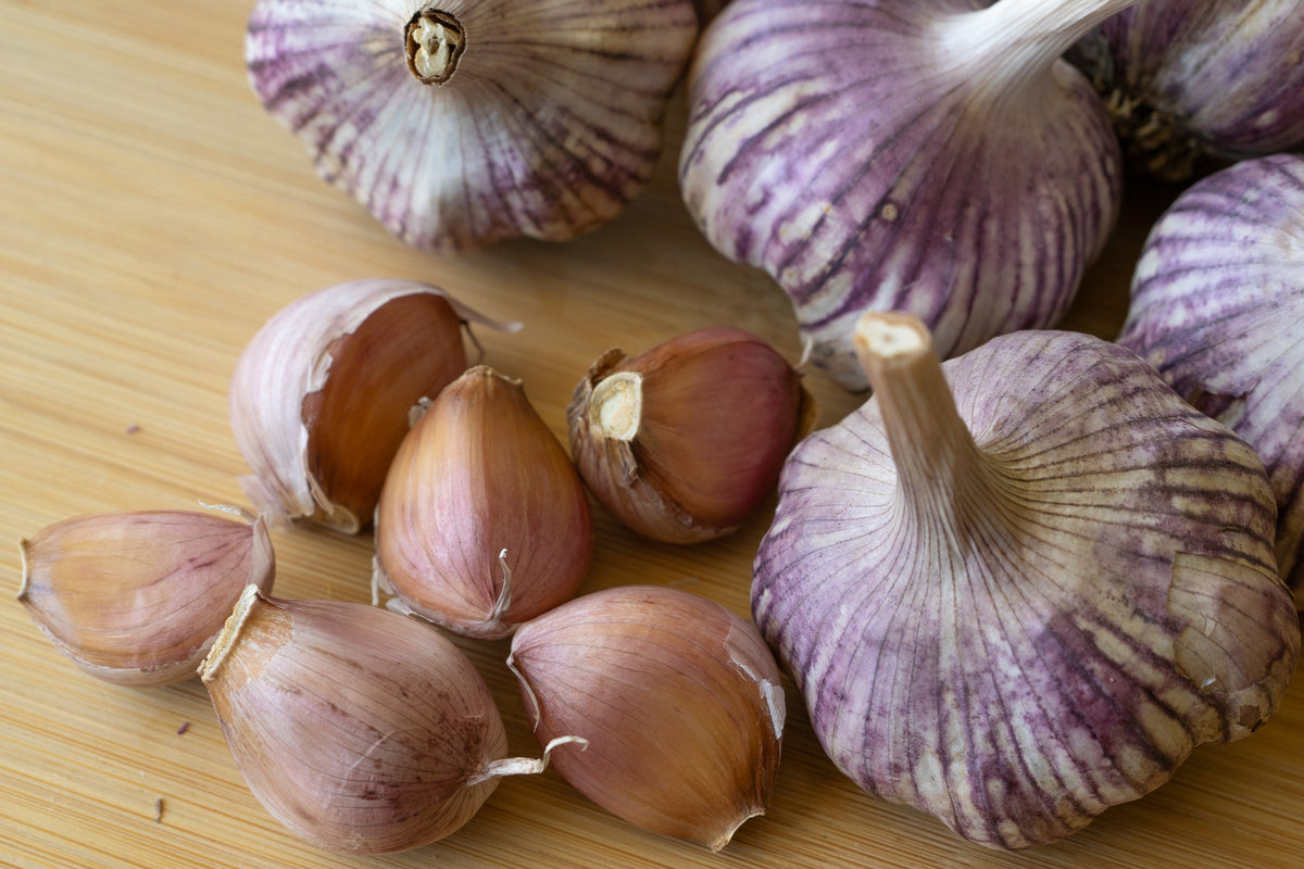 Red Janice Hardneck Garlic