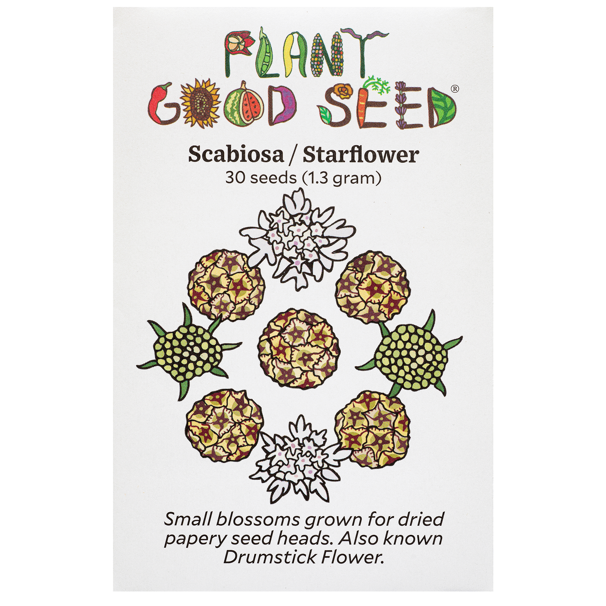 star flower seeds Plant Good Seed Scabiosa Starflower Seed Packet Drumstick Flower Seeds for Dried Bouquets Full Sun