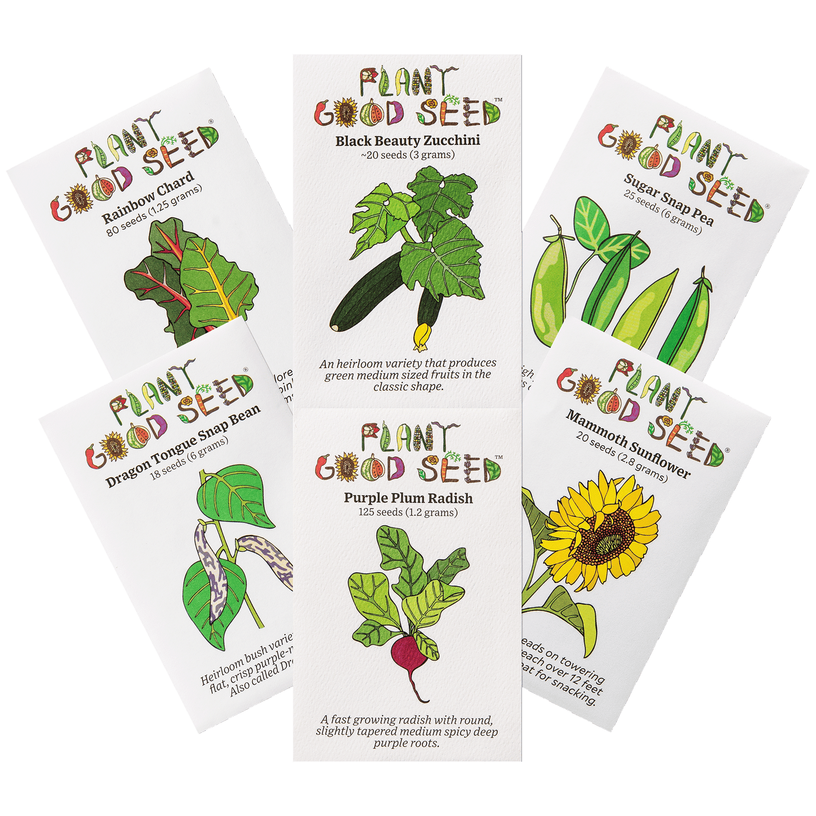 Beginning Gardeners Seed Packets Easy to Grow Varieites