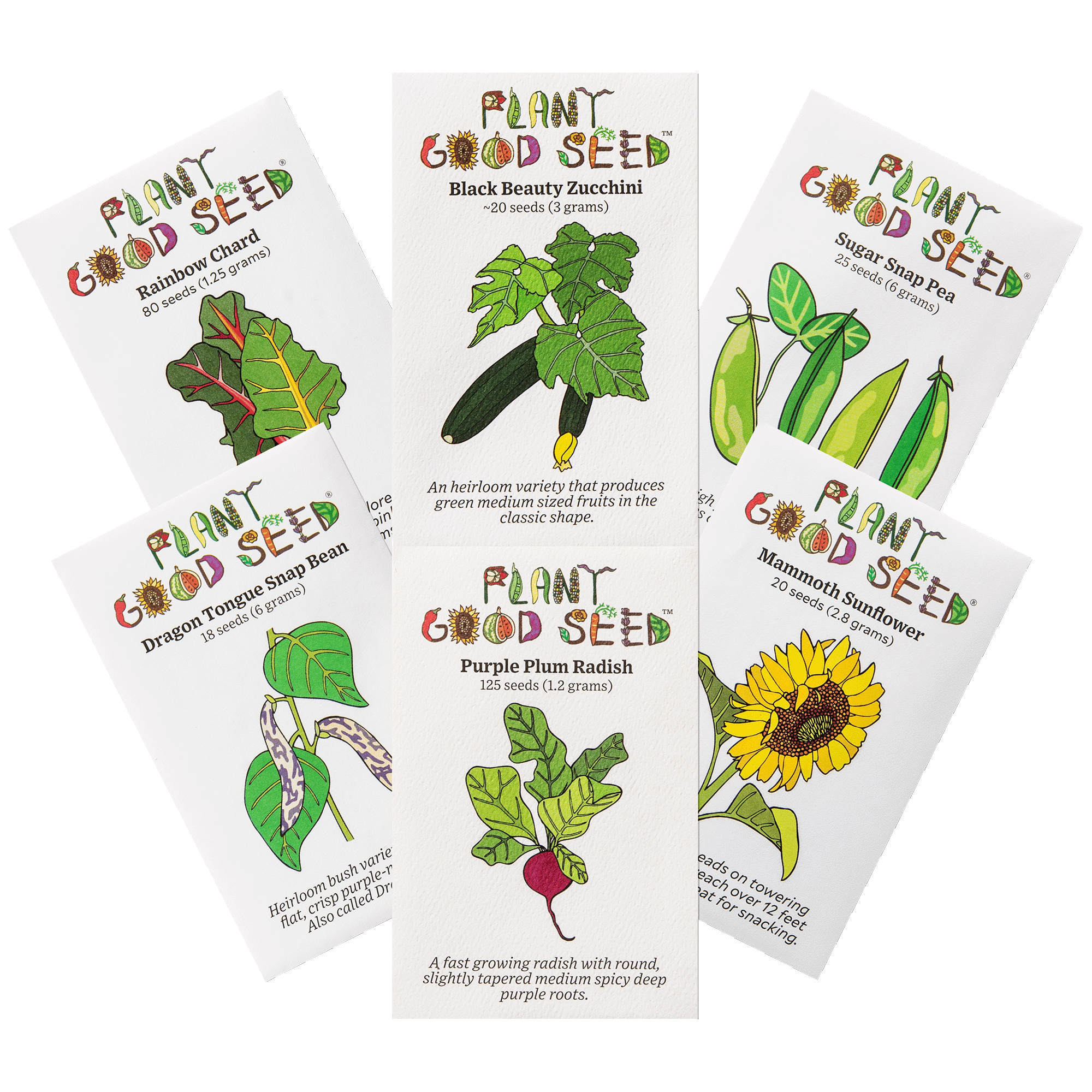 Beginning Gardeners Seed Collection Six Packets The Plant Good Seed
