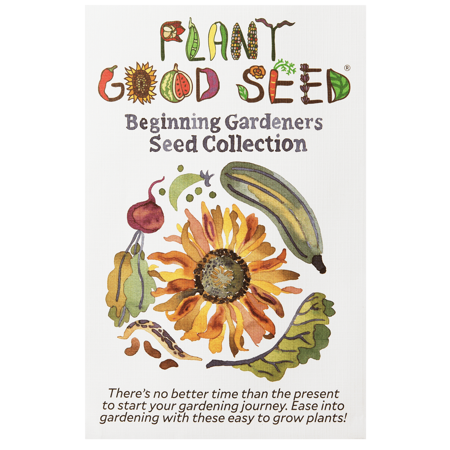 Beginning Gardeners Seed Collection Six Packets The Plant Good Seed