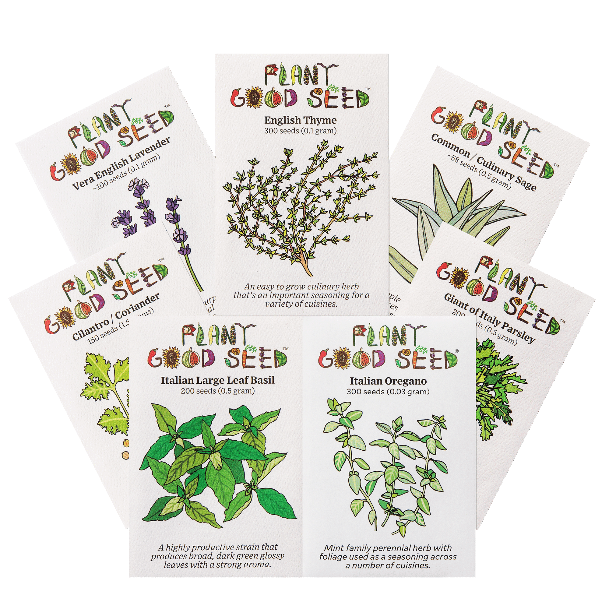 Culinary Herb Seed Collection Lavender Thyme Sage Cilantro Large Leaf Basil Italian Oregano Parsley