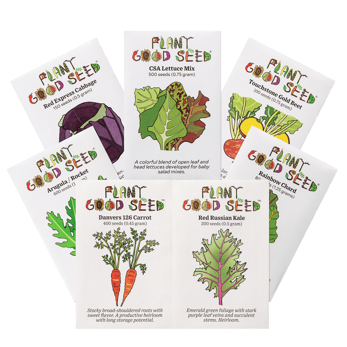 Fall Seed Collection Cabbage Lettuce Gold Beet Arugula Carrot Red Russian Kale Rainbow Chard