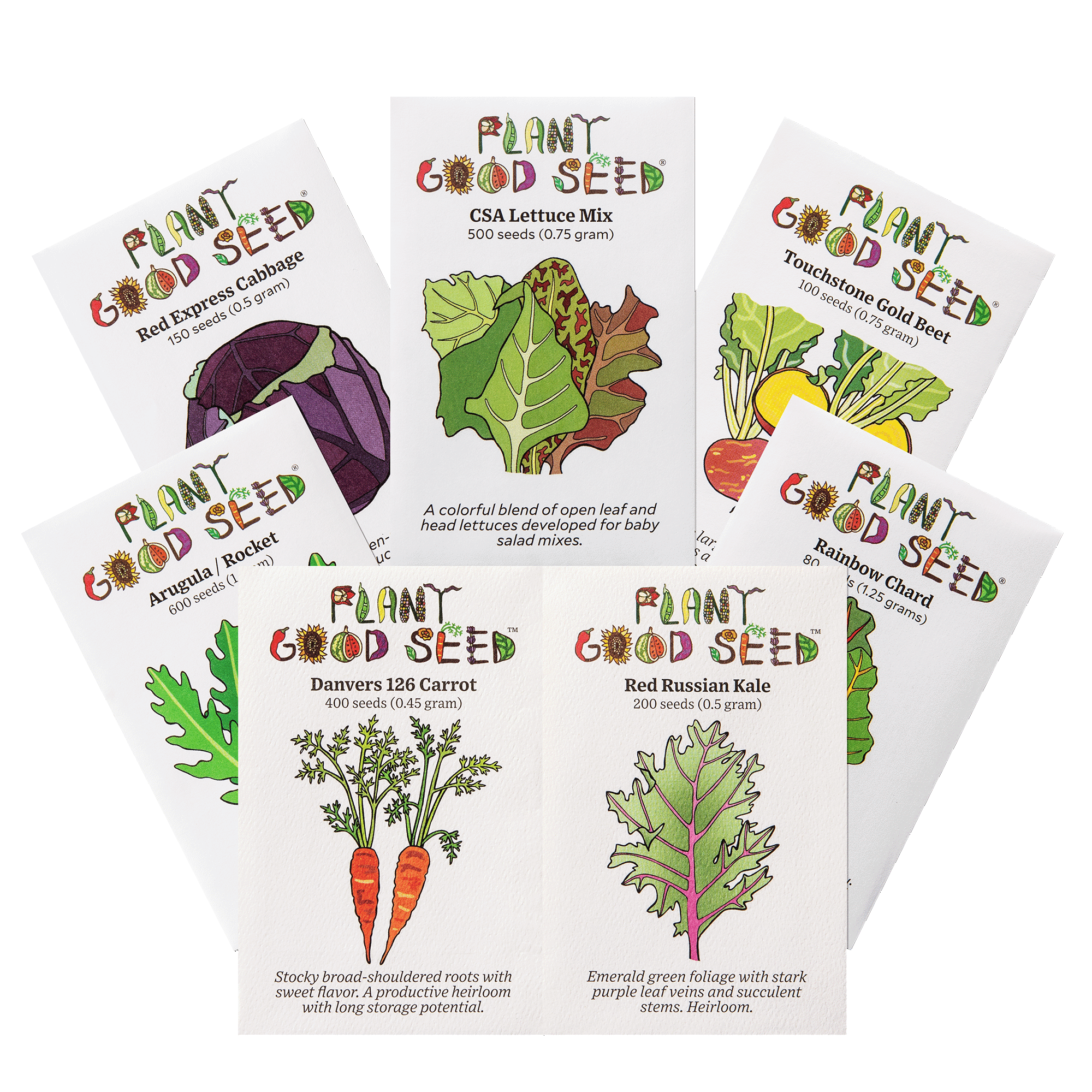 Fall Workhorses Seed Collection - Seven Packets - The Plant Good Seed ...