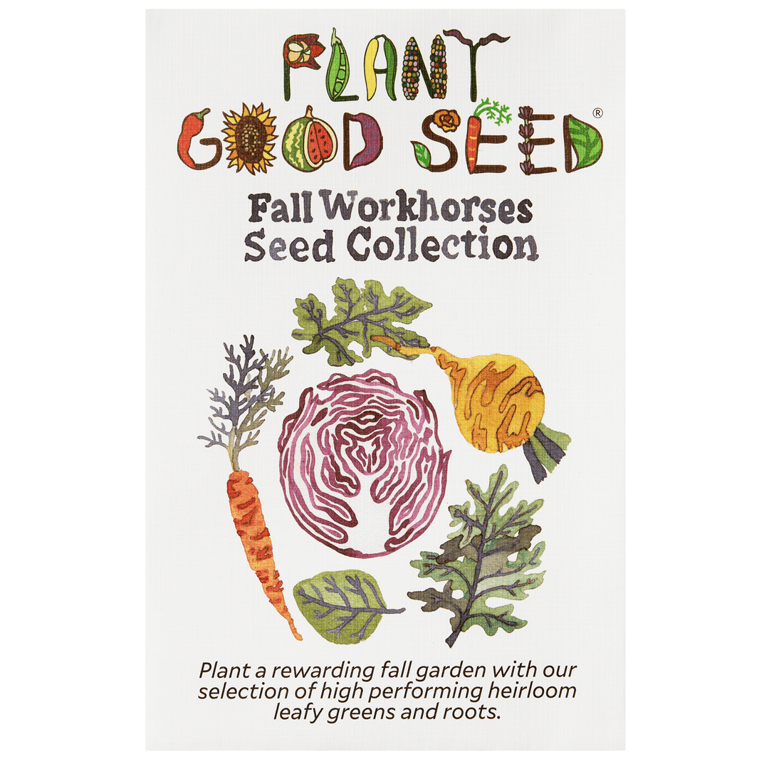 Fall Workhorses Seed Collection - Seven Packets - The Plant Good Seed ...