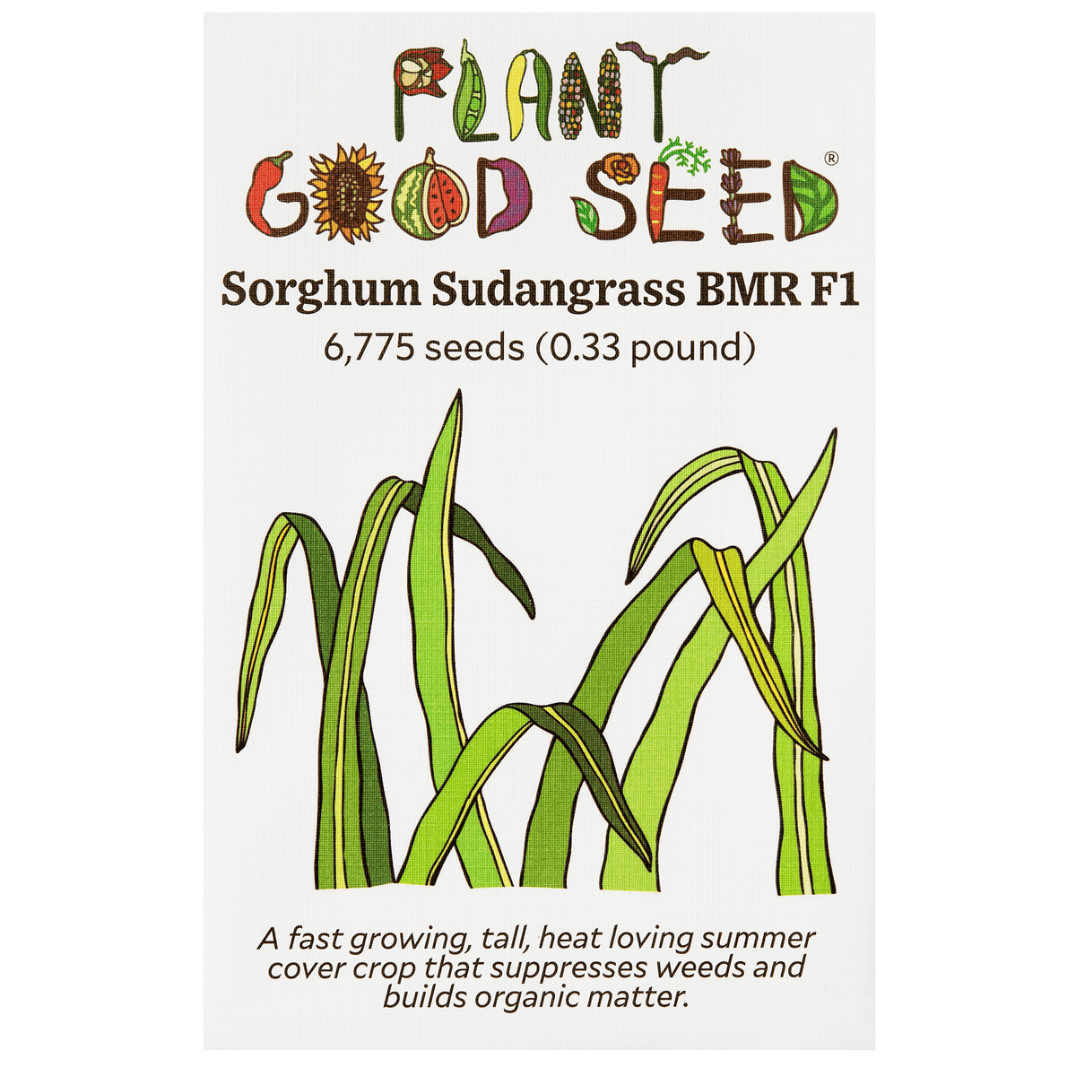 Sorghum Sudangrass BMR F1