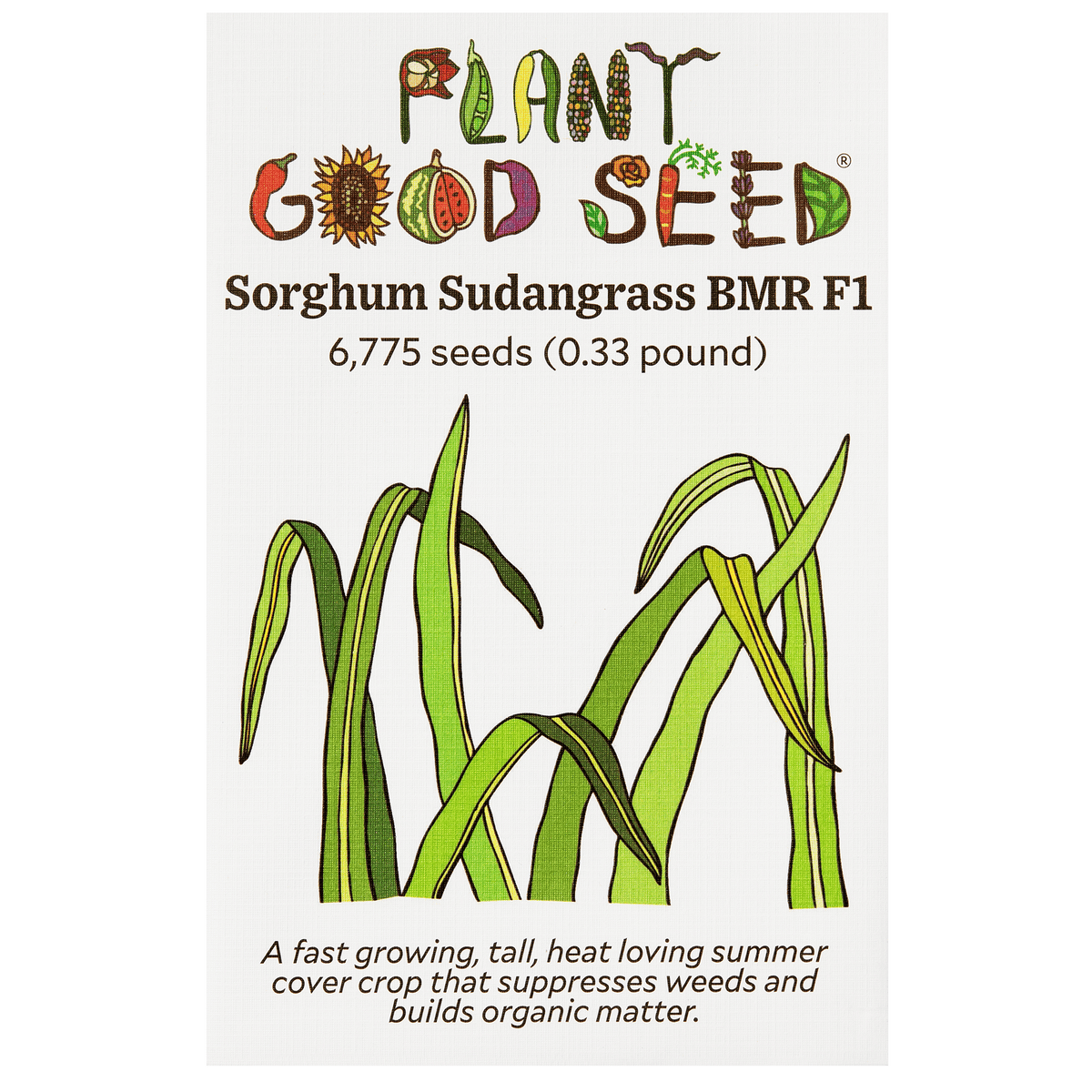 Sorghum Sudangrass BMR F1