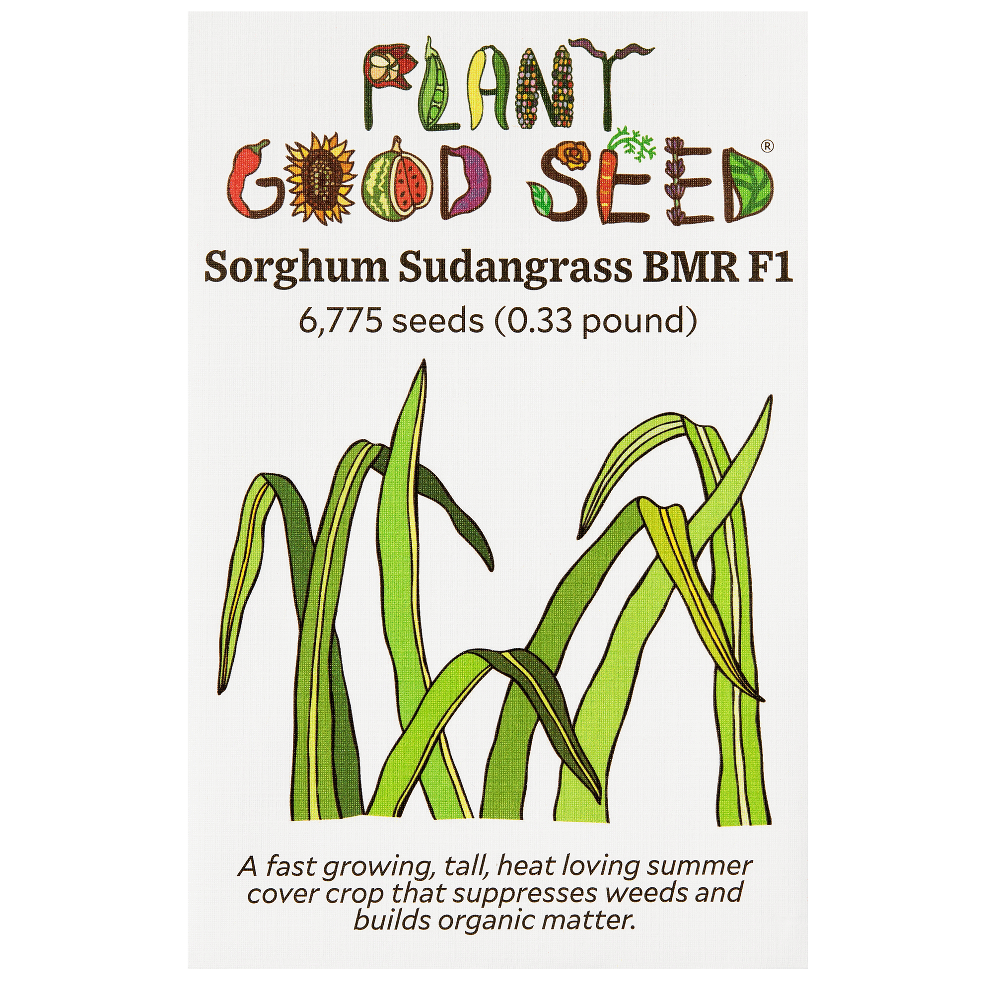 sorghum sudan herbicides Plant Good Seed Company Sorghum Sudangrass BMR F1 Organic