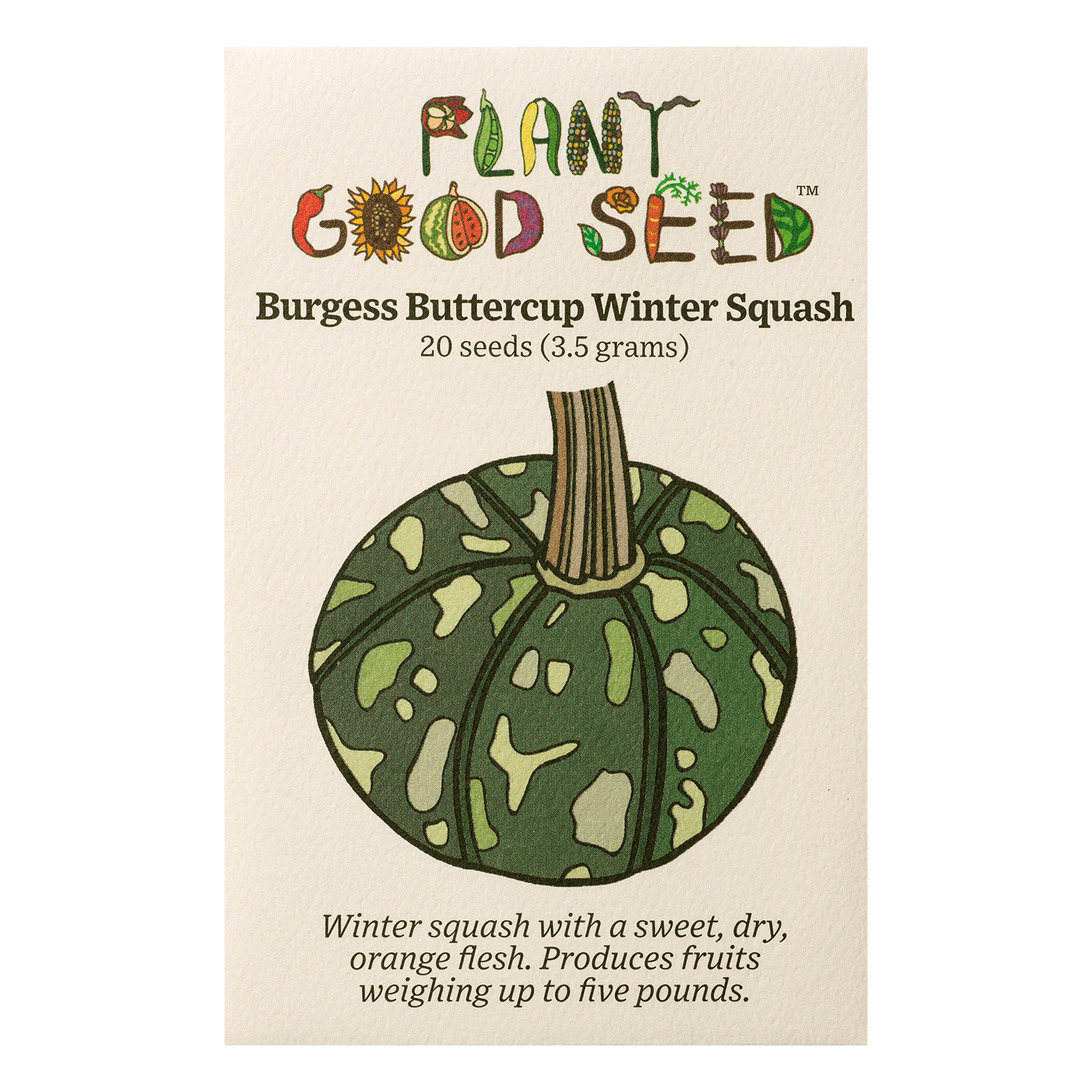 Burgess Buttercup Winter Squash Seeds The Plant Good Seed Company