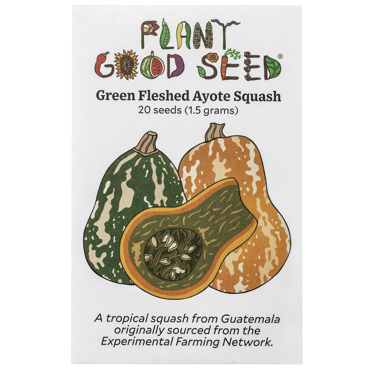 Green Fleshed Ayote Winter Squash
