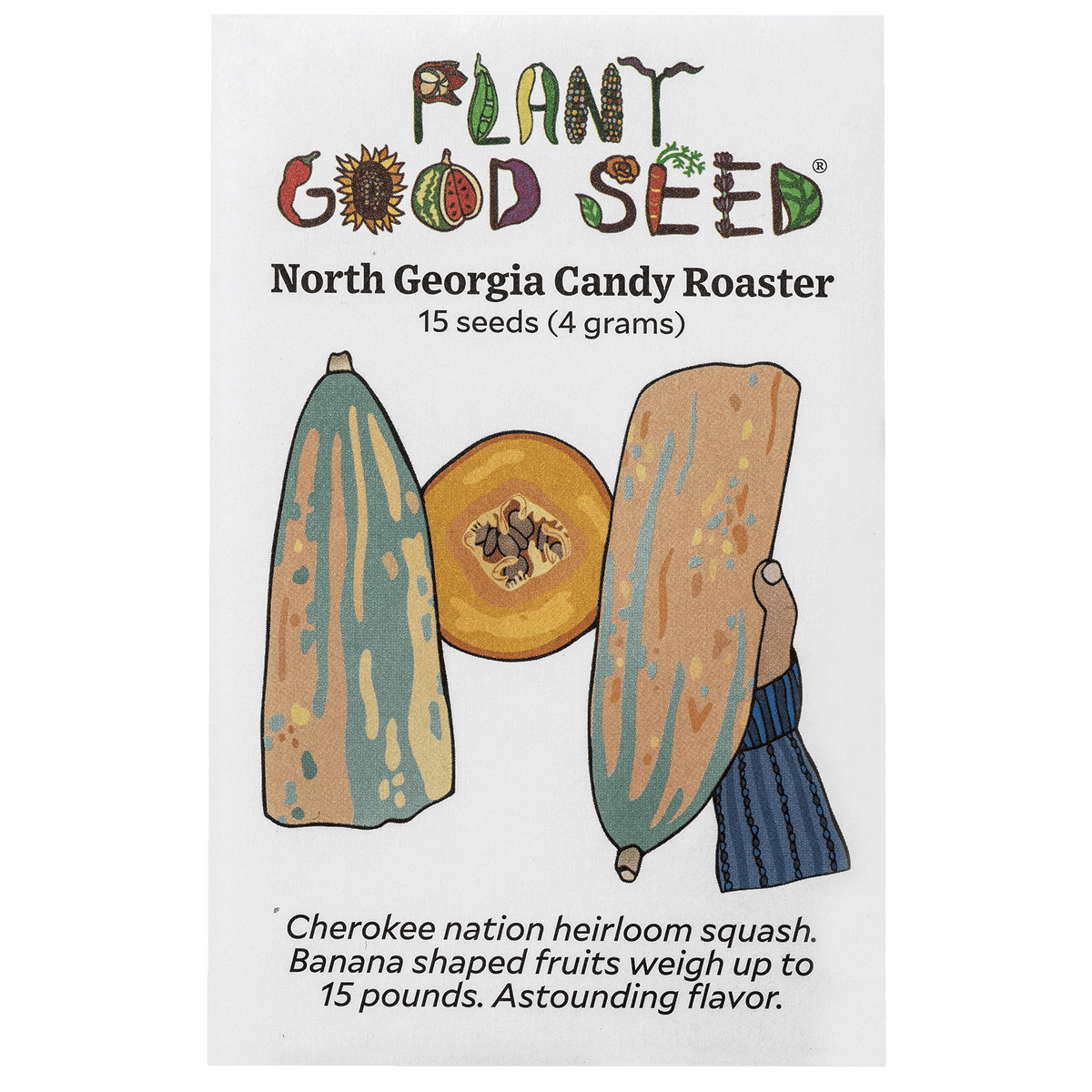 North Georgia Candy Roaster Winter Squash