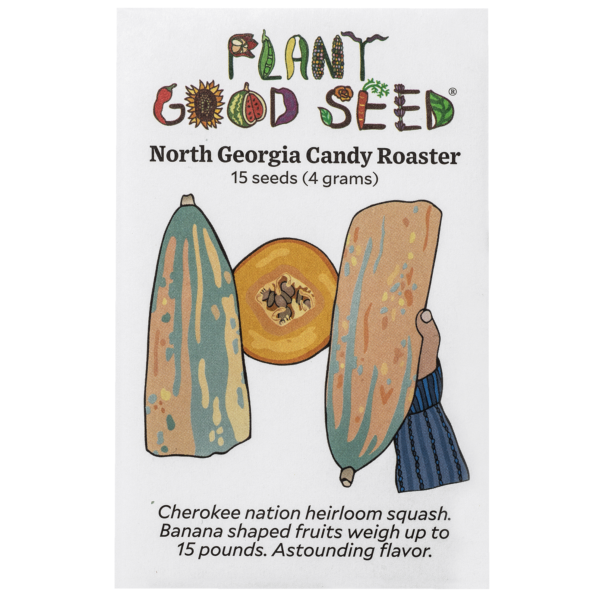 ゆでだこ North Georgia Candy Roaster Winter Squash Seeds - The Plant Good