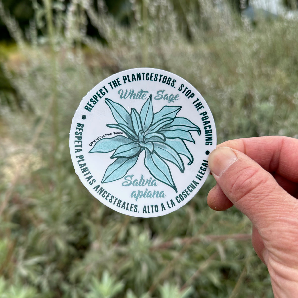 White Sage &quot;Respect the Ancestors&quot; Sticker