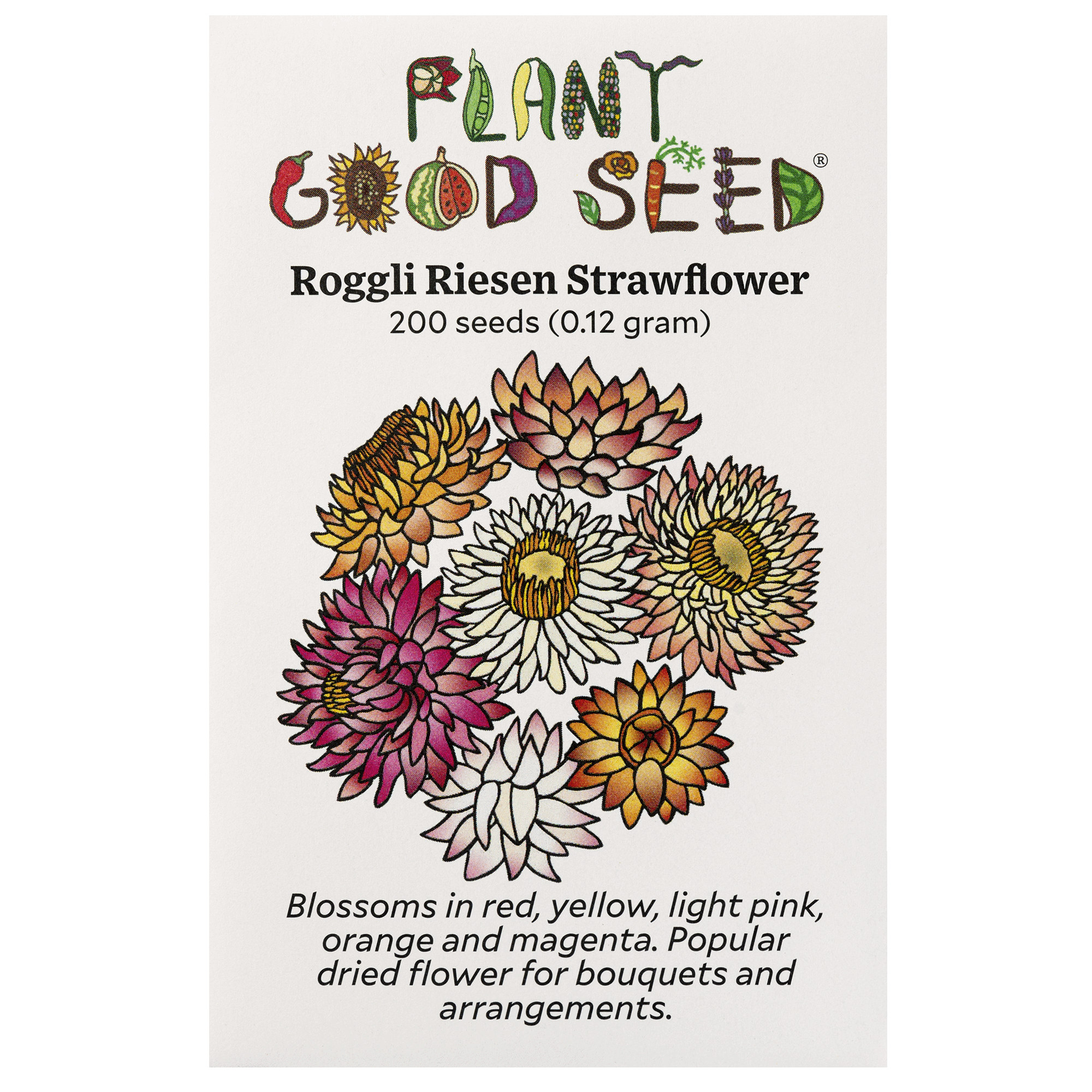Roggli Riesen Strawflower Seeds The Plant Good Seed Company