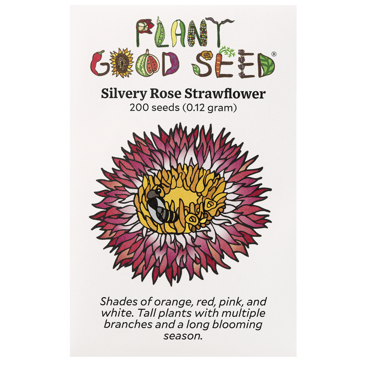 Silvery Rose Strawflower Seed Packet