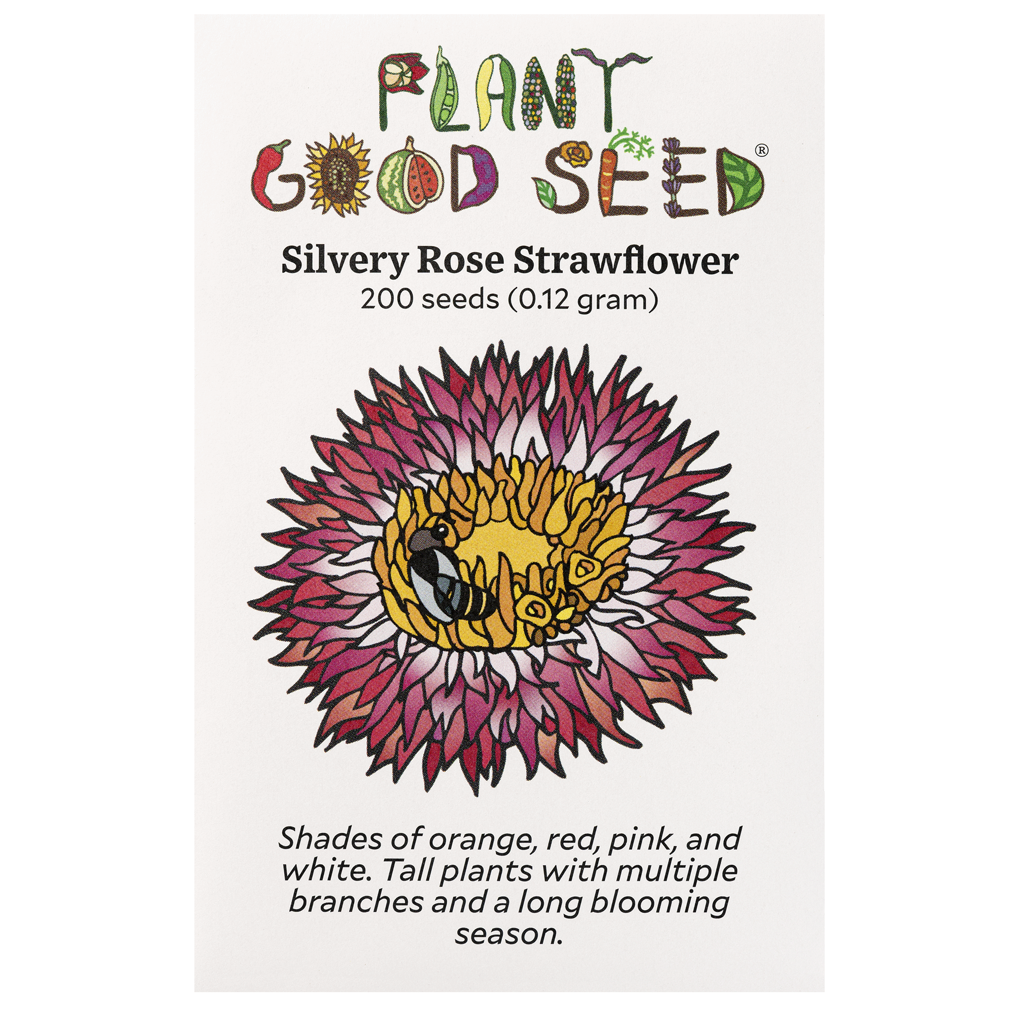 rose sunflower seeds Plant Good Seed Silvery Rose Strawflower Seeds: Annual Summer Flower, Heat Tolerant, Rose Blush Shades