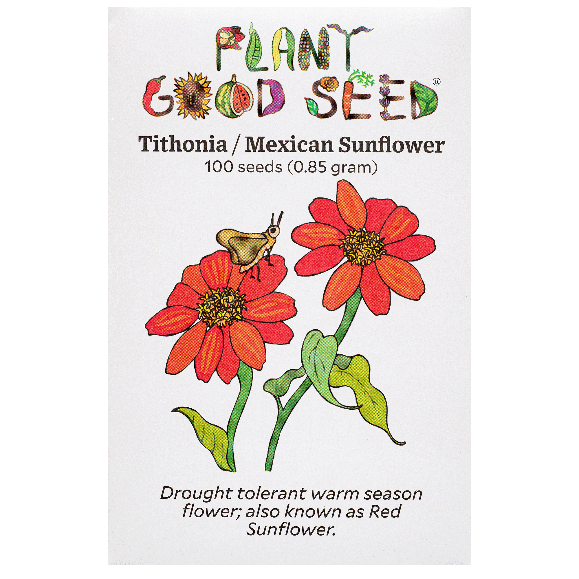 where to buy sunflower seeds for planting Tithonia / Mexican Sunflower Seeds