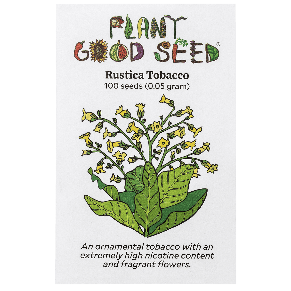 Rustica Tobacco Seed