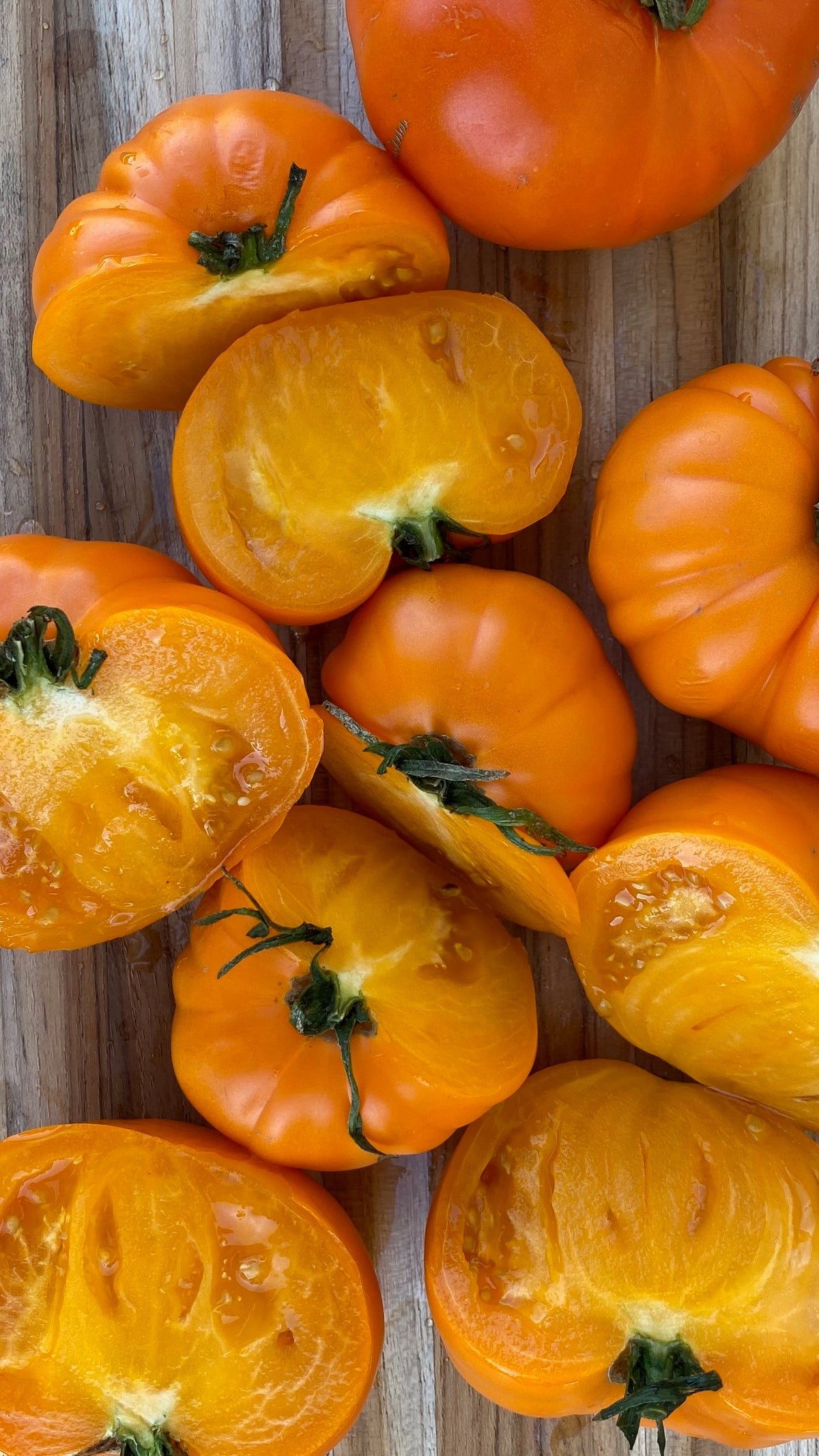 Siskiyou Orange tomato cut open