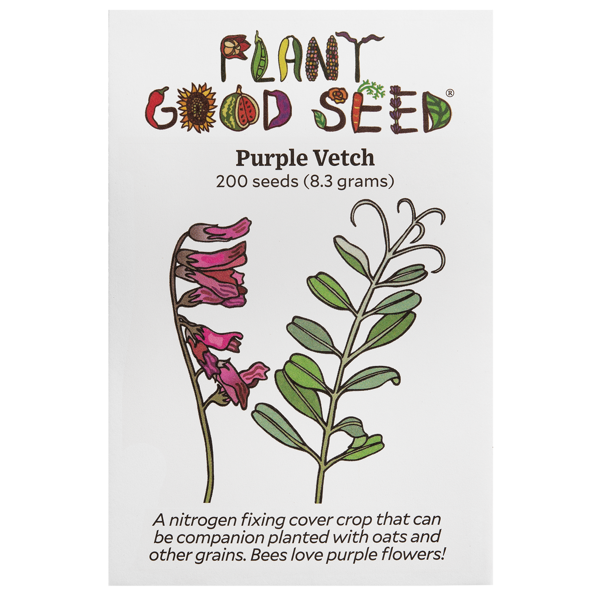 Purple Vetch