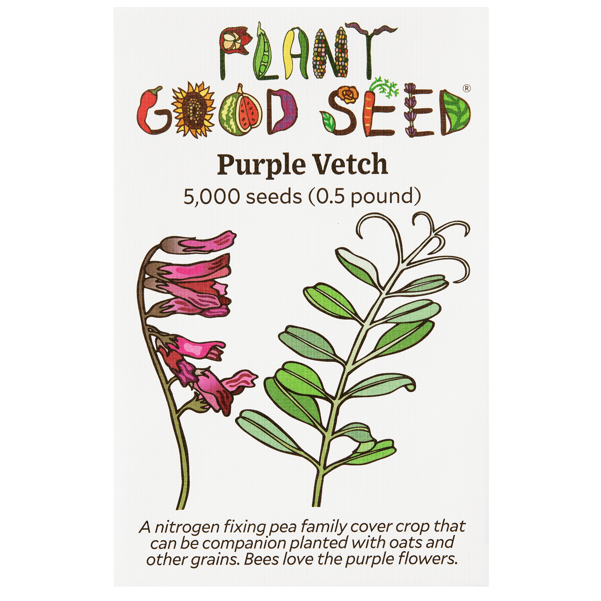 purple plant seeds Purple Vetch Seeds Packet: 330 seeds, 13.5 grams, OG