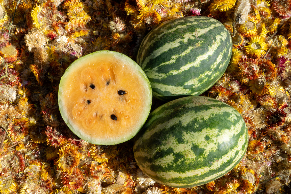 Mountain Sweet Yellow Watermelon