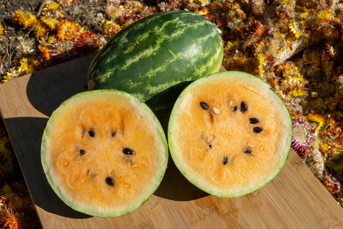 Mountain Sweet Yellow Watermelon