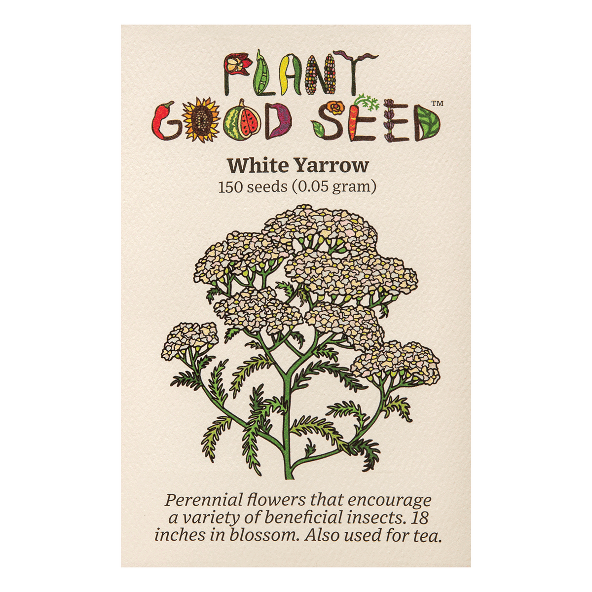 White Yarrow