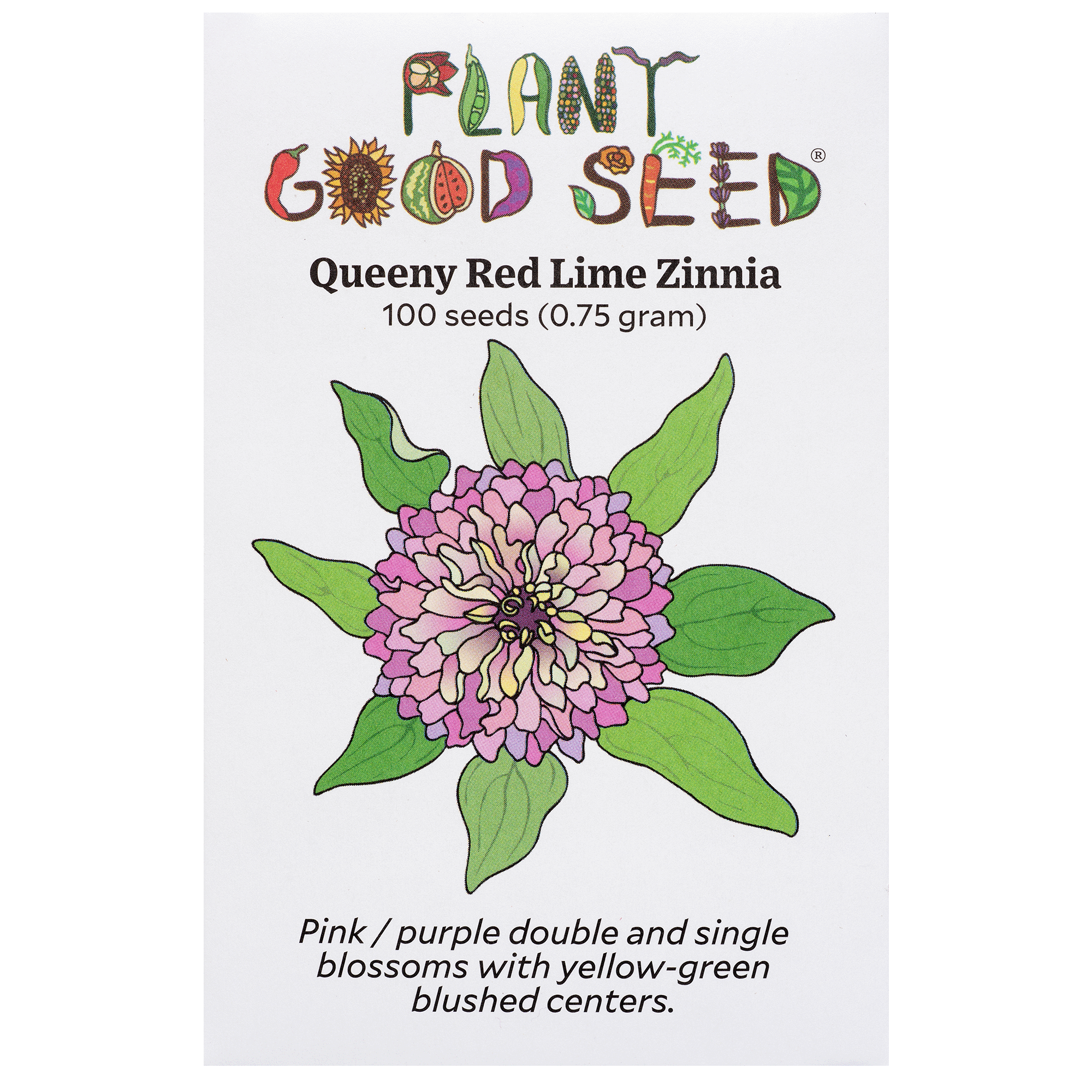Queeny Red Lime Zinnia - The Plant Good Seed Company Queeny Red Lime Zinnia - The Plant Good Seed Company