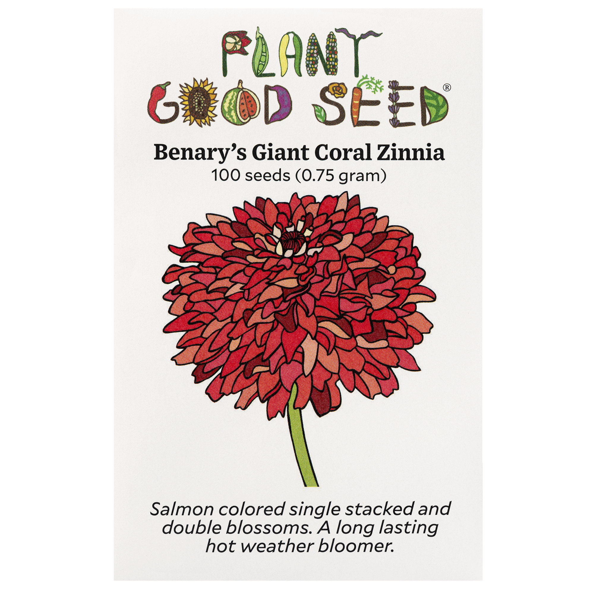 coral plant seeds Benary's Giant Coral Zinnia Flower Seeds Packet: 100 Seeds (0.75 gram), OG