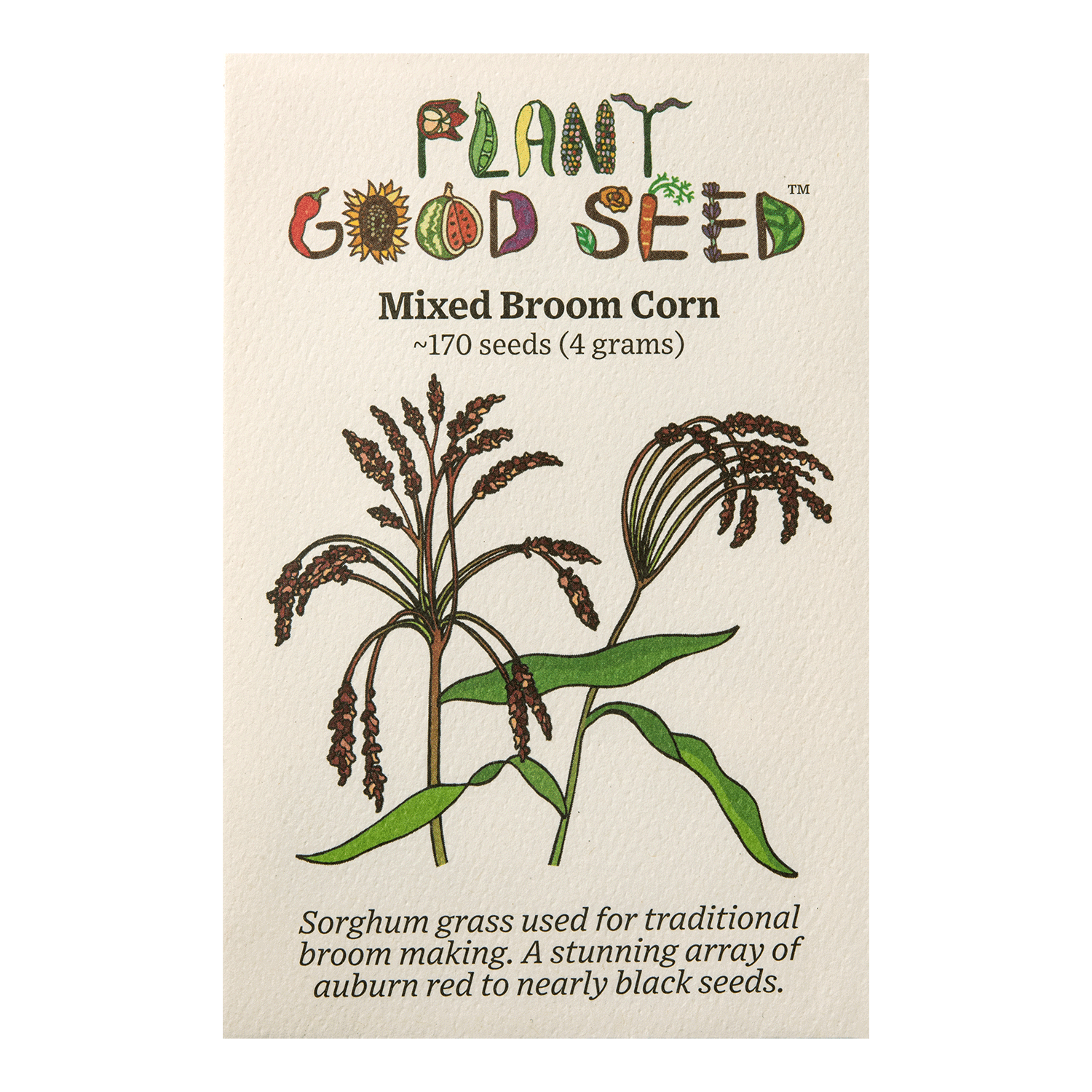 buy corn seeds for planting Mixed Broom Corn Seeds Packet: 170 Seeds (4 grams)