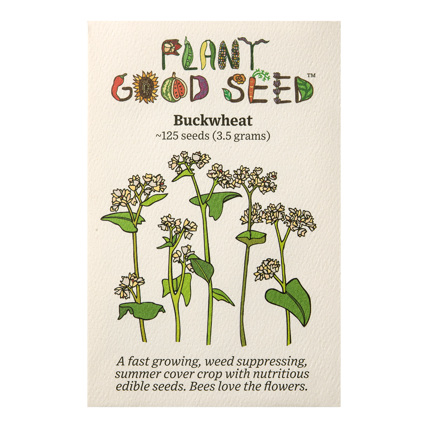Buckwheat Seeds The Plant Good Seed Company