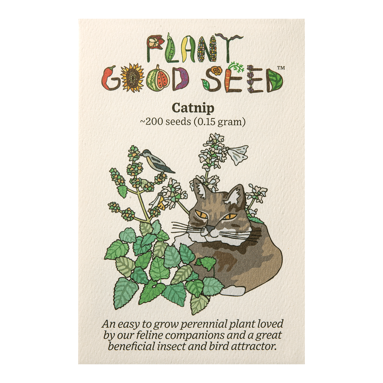 Catnip Seeds - The Plant Good Seed Company