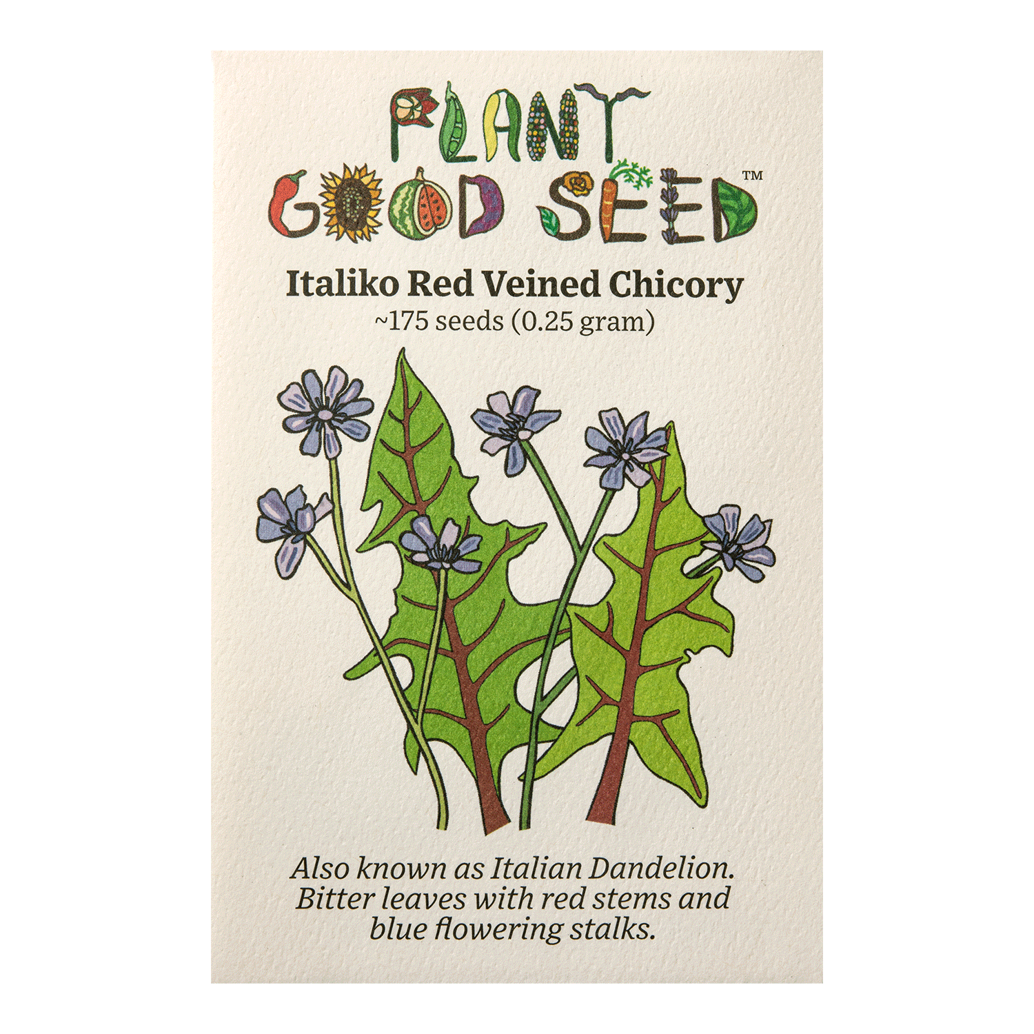 chicory flower seeds Italiko Red-Veined Chicory Seeds