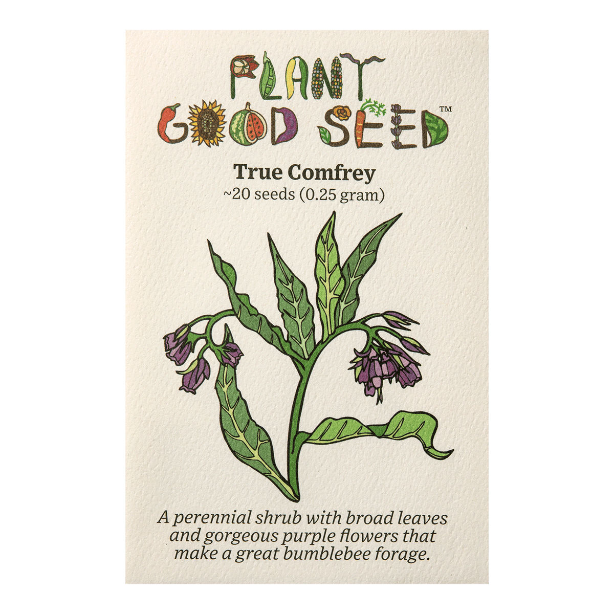 Common / True Comfrey