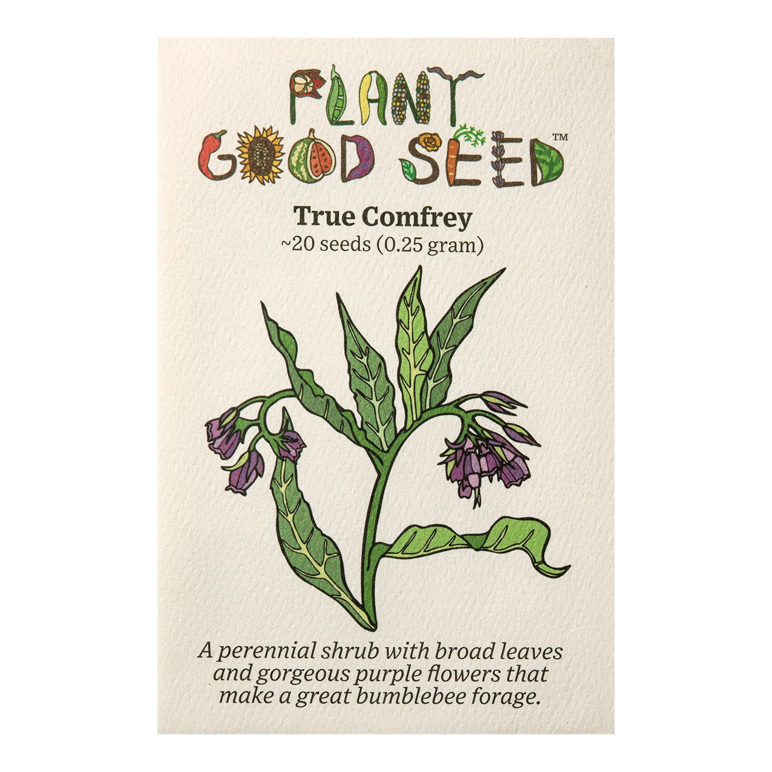 comfrey plant seeds Common / True Comfrey Seeds