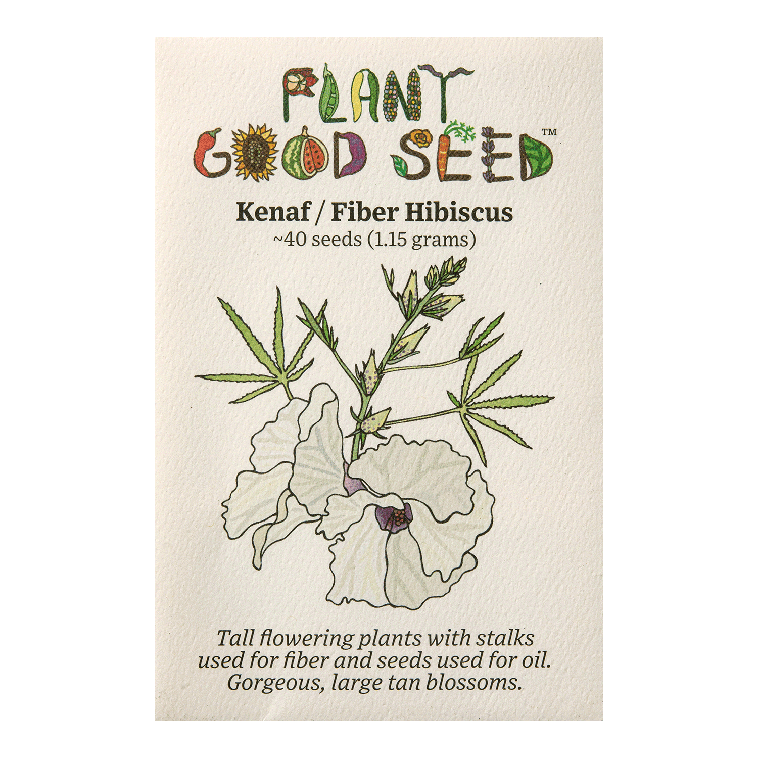 kenaf plant seeds Kenaf / Fiber Hibiscus Seeds