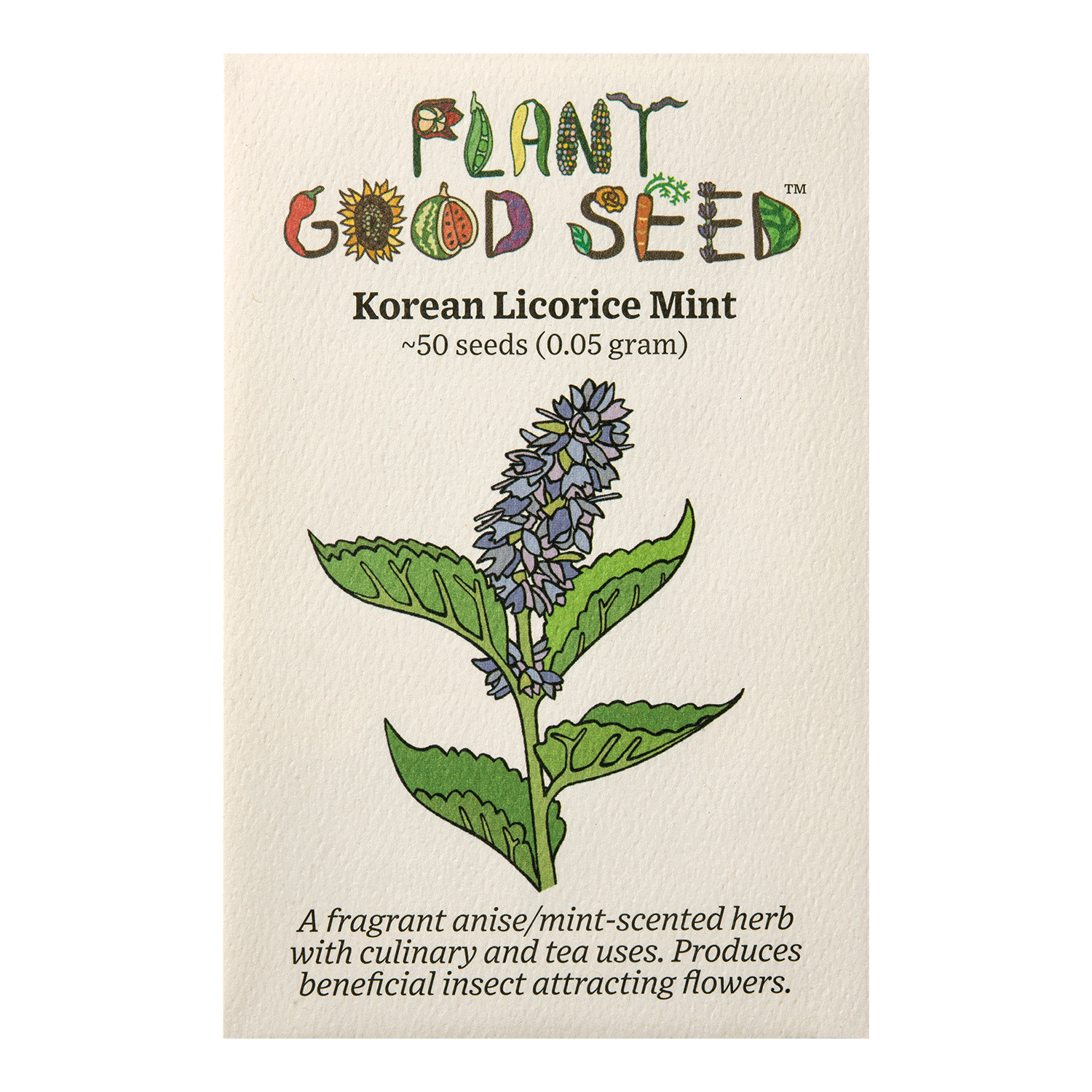 mint seeds to plant Korean Licorice Mint Seeds Packet: 50 Seeds (0.05 gram)
